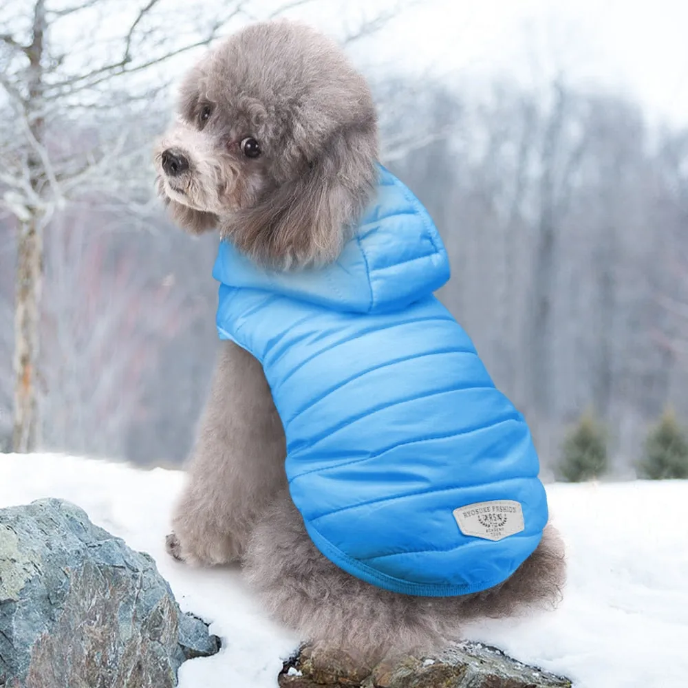 Snow Jacket